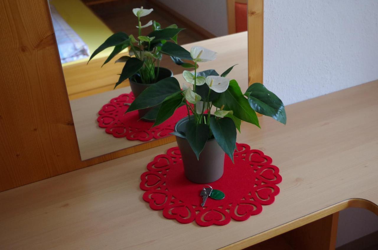Sonnenkogel Appartement Galtuer Ngoại thất bức ảnh