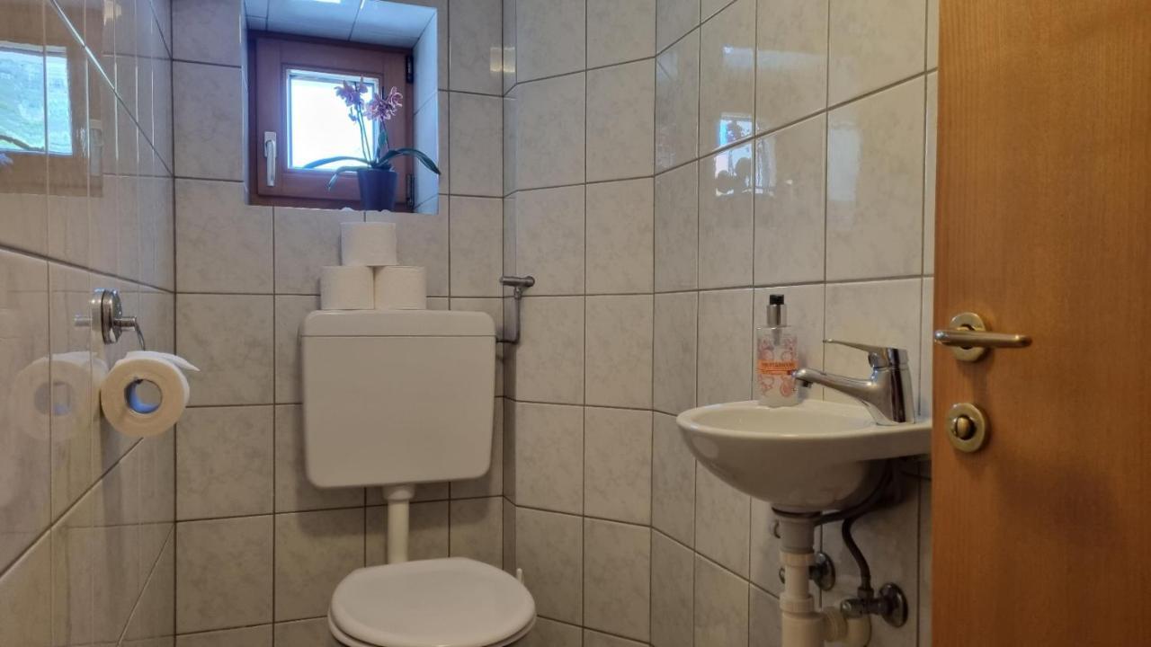 Sonnenkogel Appartement Galtuer Ngoại thất bức ảnh